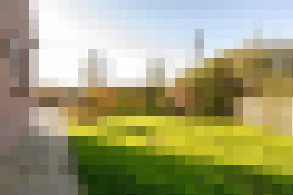 Ree 62 Reeuwijk thumbnail 35