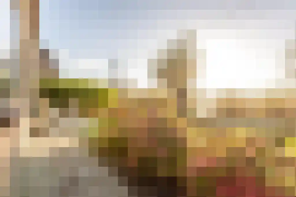 Ree 62 Reeuwijk thumbnail 4