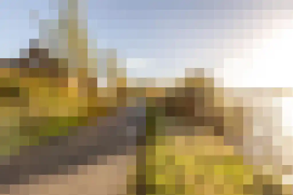 Ree 62 Reeuwijk thumbnail 42