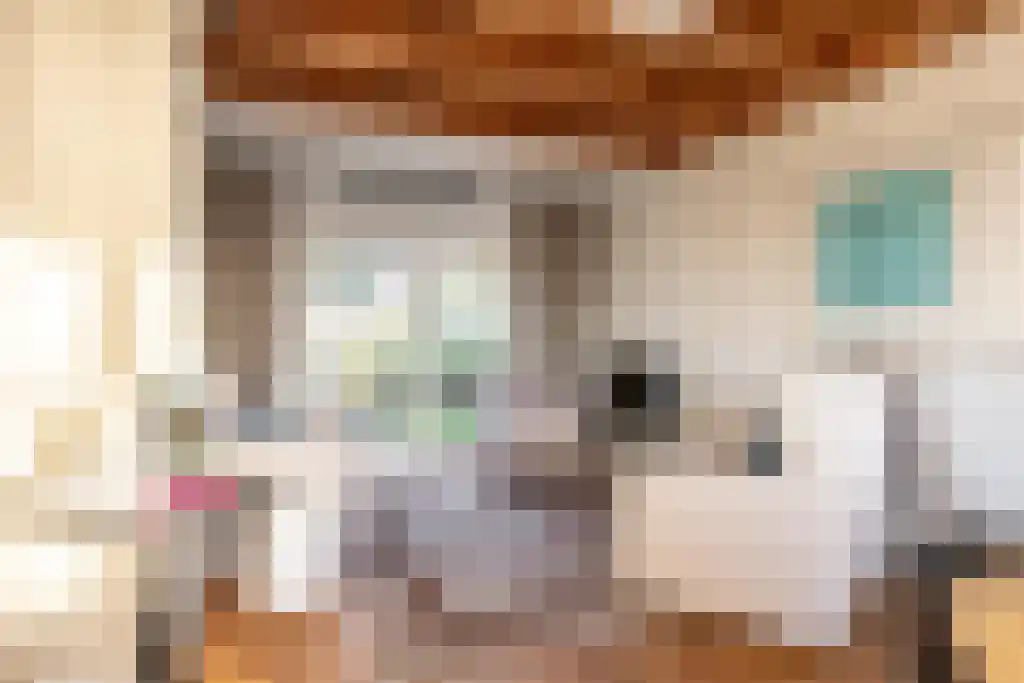 Ree 62 Reeuwijk thumbnail 6