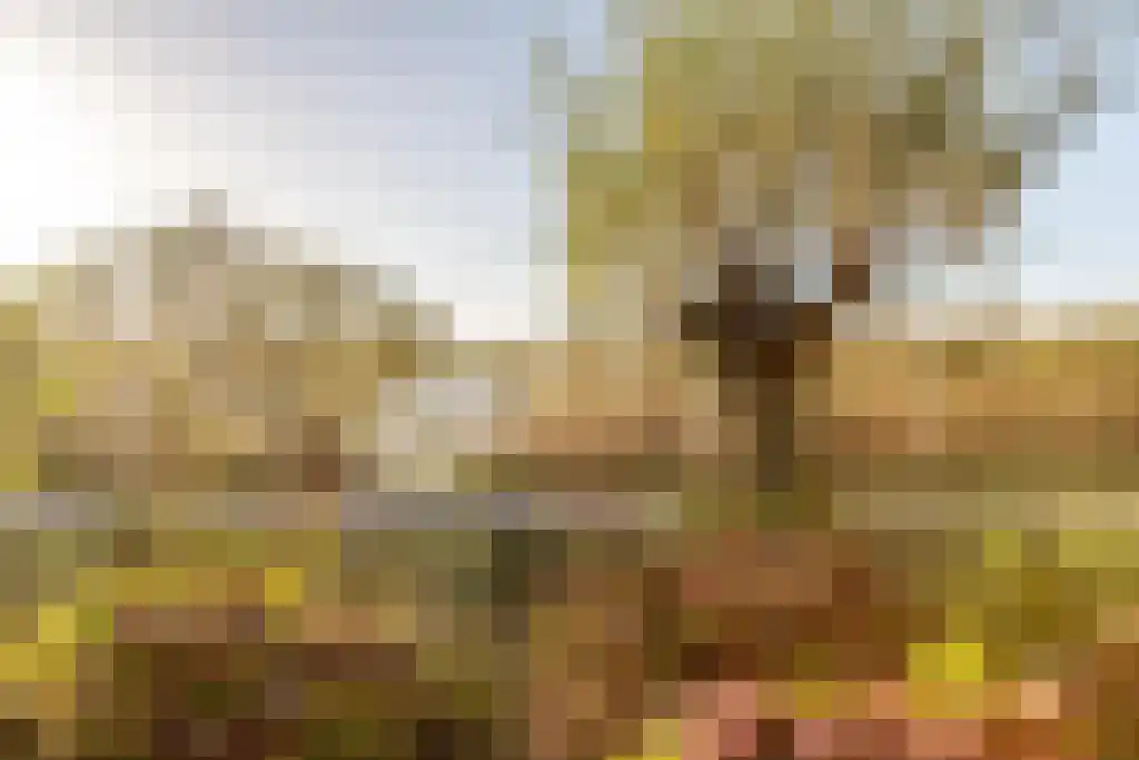 Ree 62 Reeuwijk thumbnail 6