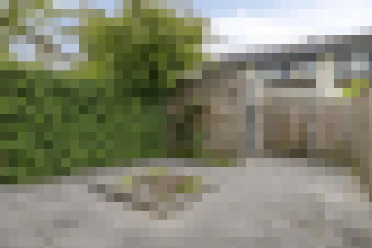 Ree 77 Veldhoven thumbnail 22
