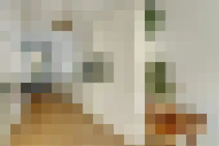 Ree 93 Veldhoven thumbnail 11