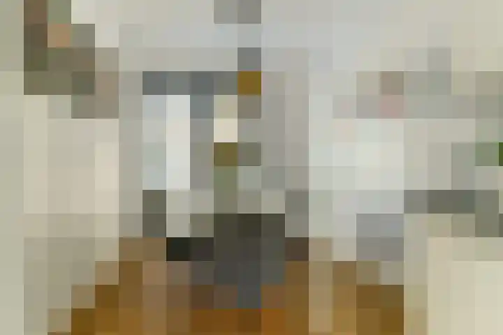 Ree 93 Veldhoven thumbnail 16