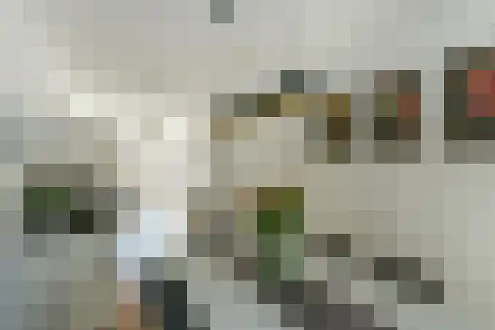 Ree 93 Veldhoven thumbnail 17