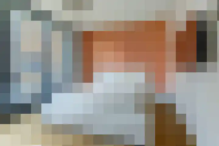 Ree 93 Veldhoven thumbnail 19