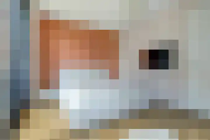 Ree 93 Veldhoven thumbnail 20