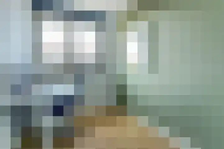 Ree 93 Veldhoven thumbnail 24
