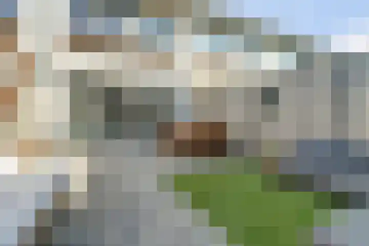 Ree 93 Veldhoven thumbnail 34