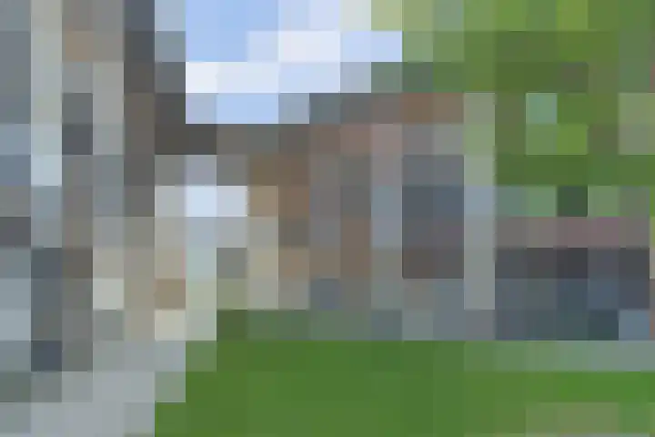 Ree 93 Veldhoven thumbnail 4
