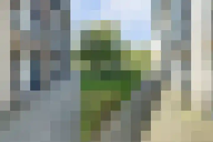 Ree 93 Veldhoven thumbnail 42