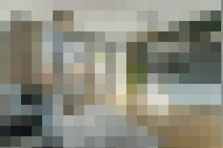 Ree 93 Veldhoven thumbnail 7