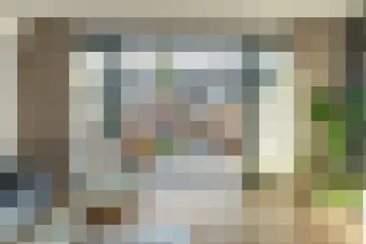 Ree 93 Veldhoven thumbnail 9