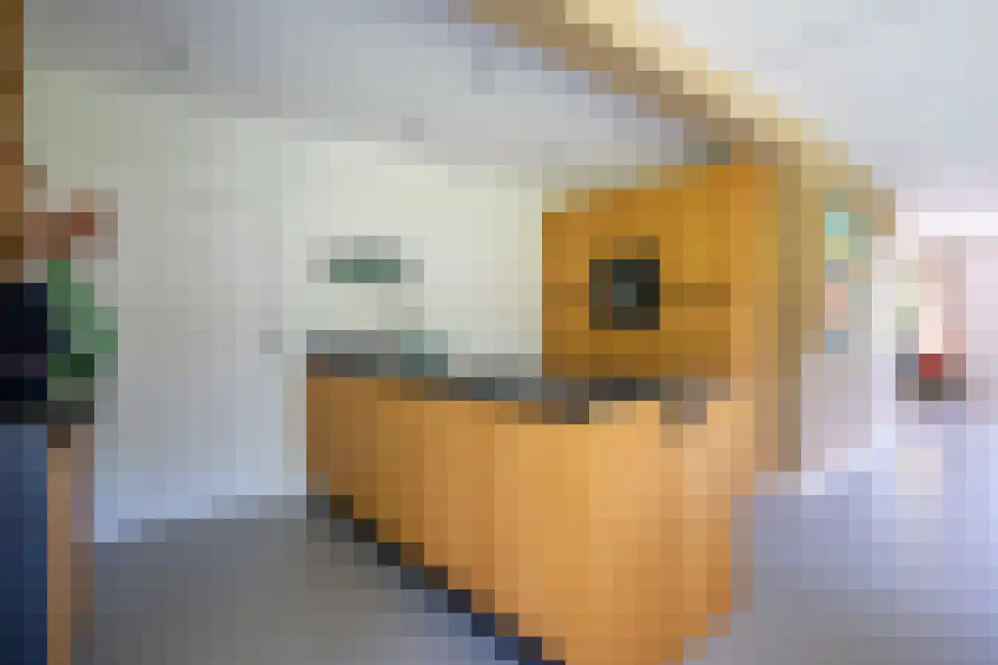 Reeakker 8 Rolde thumbnail 18