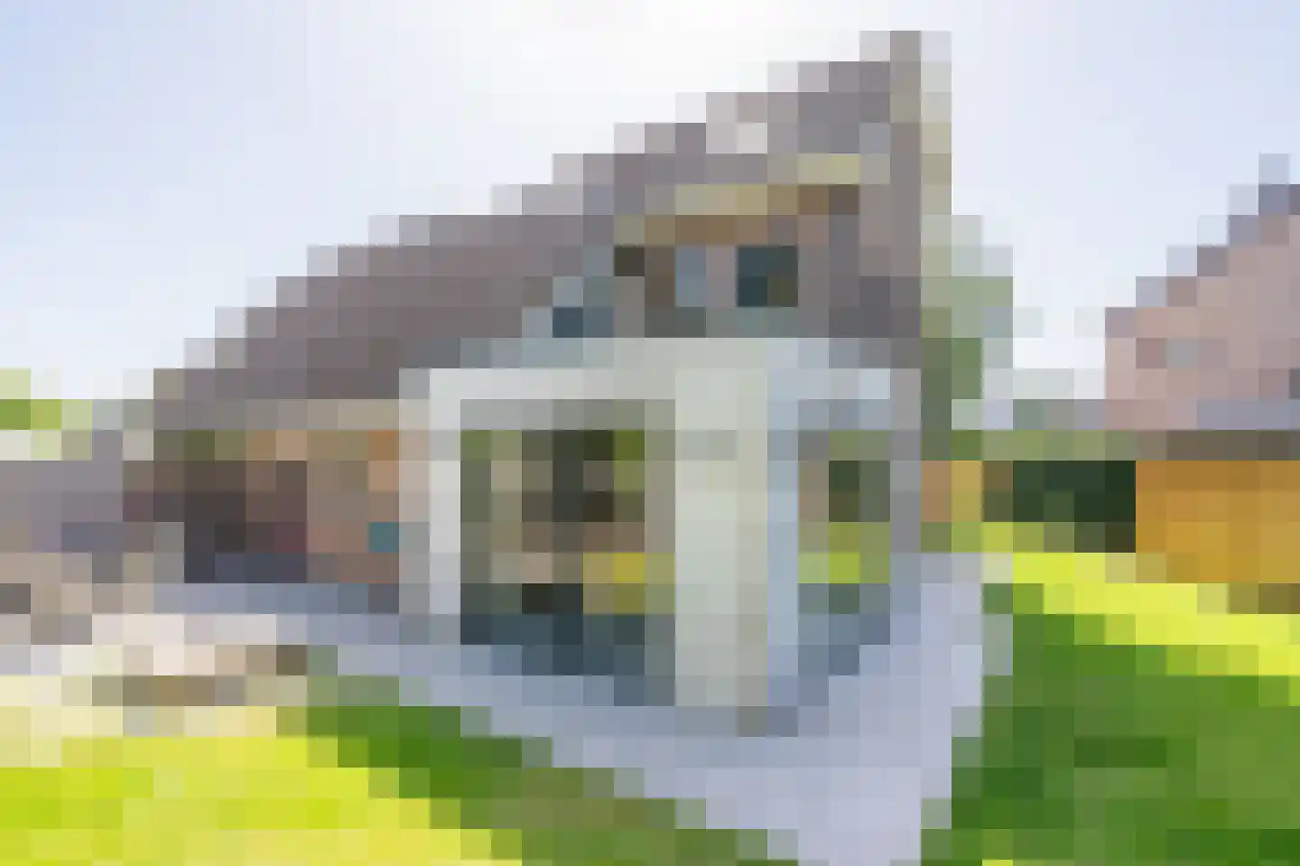 Reeakker 8 Rolde foto 2