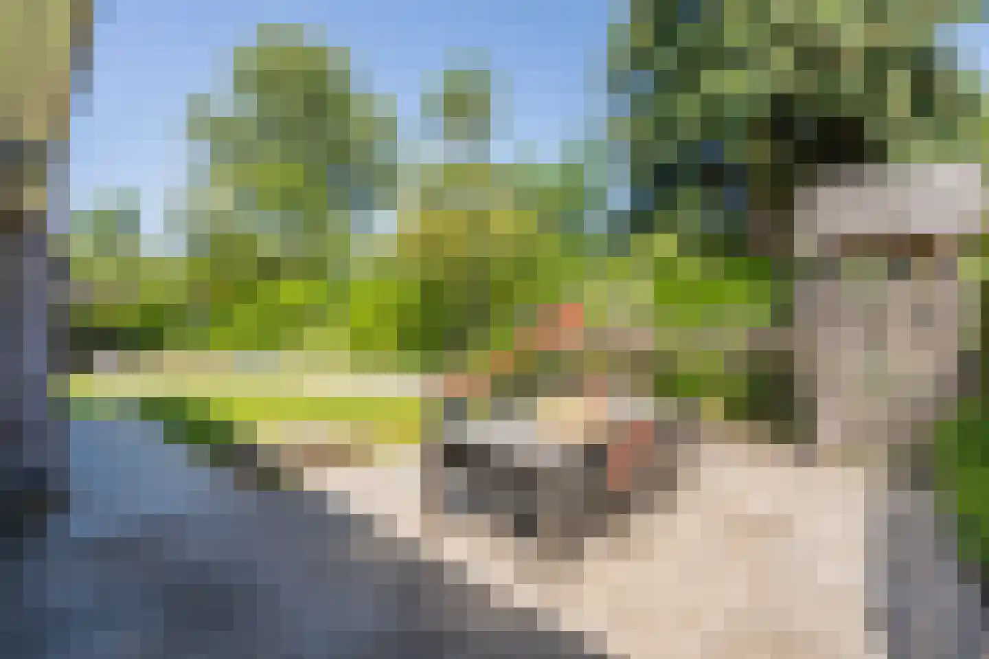 Reeakker 8 Rolde thumbnail 40