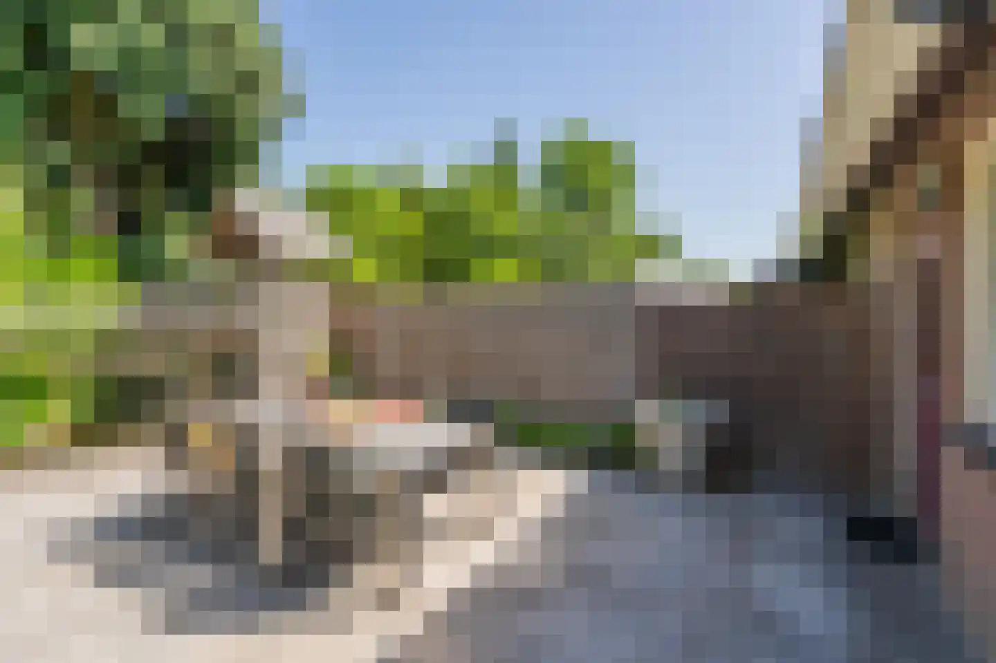 Reeakker 8 Rolde thumbnail 41