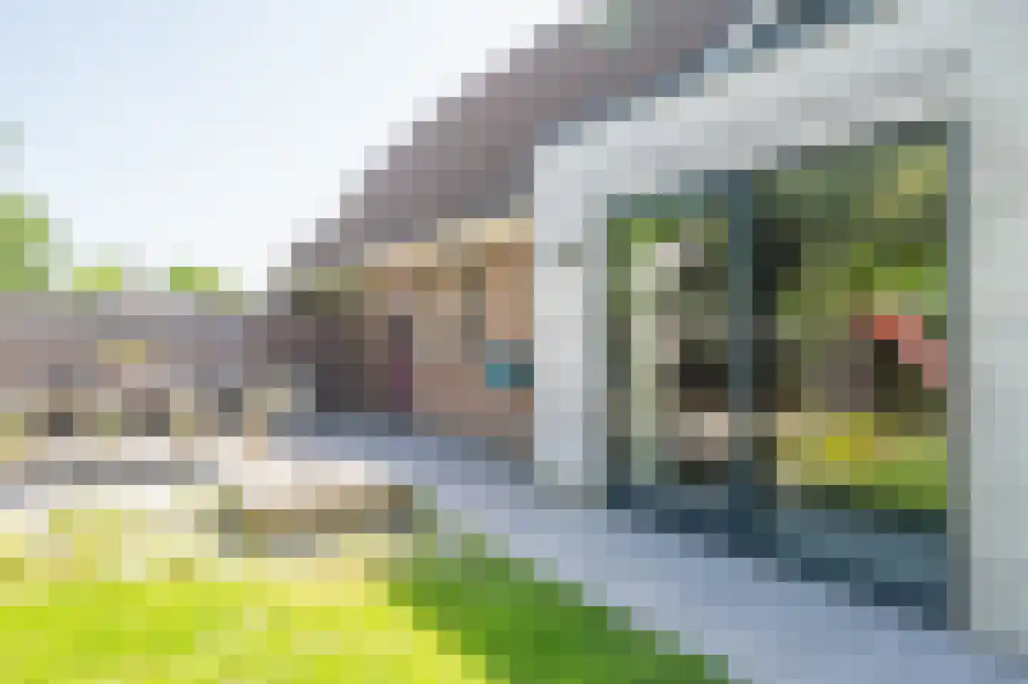 Reeakker 8 Rolde thumbnail 45