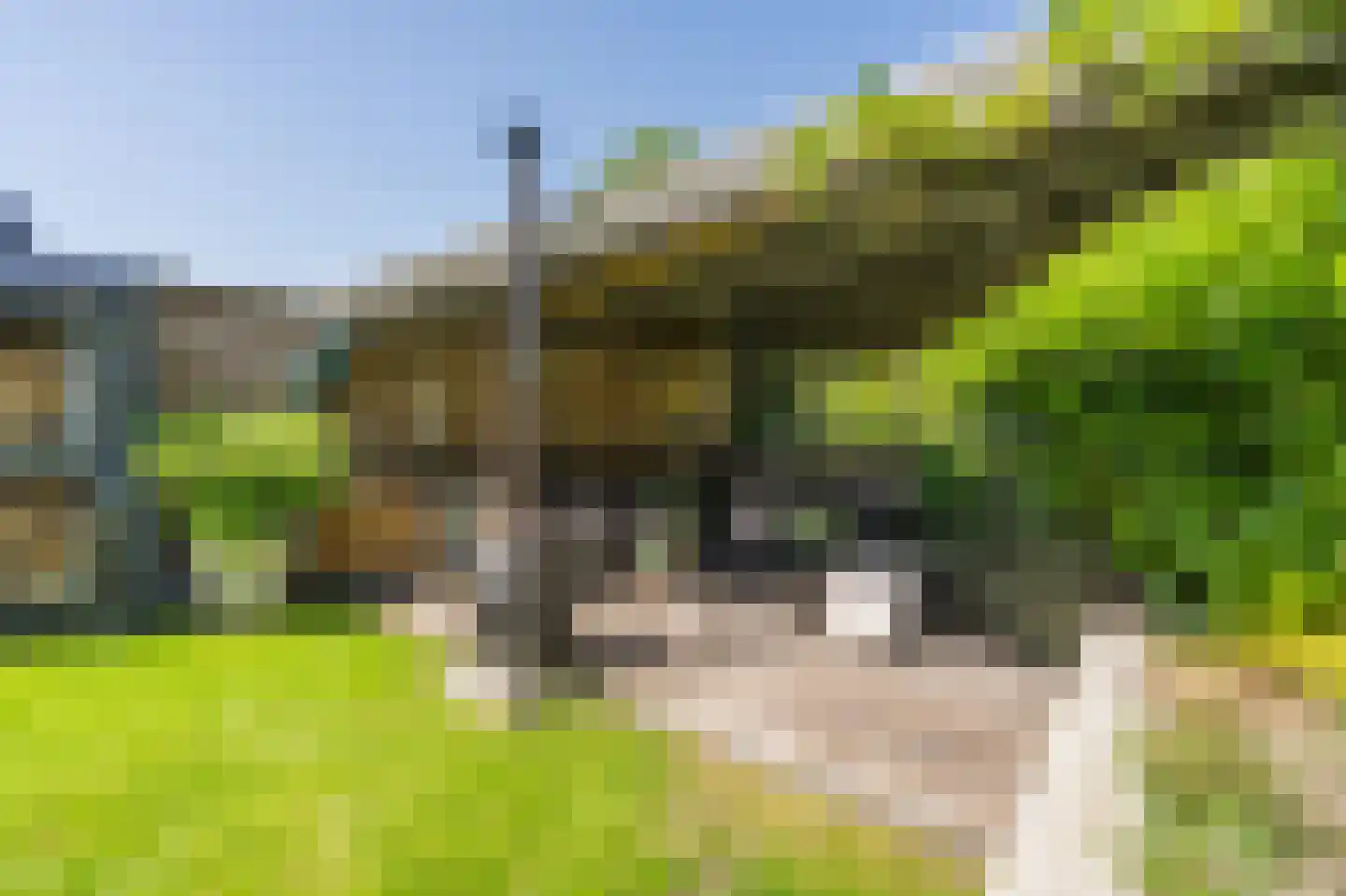 Reeakker 8 Rolde thumbnail 48