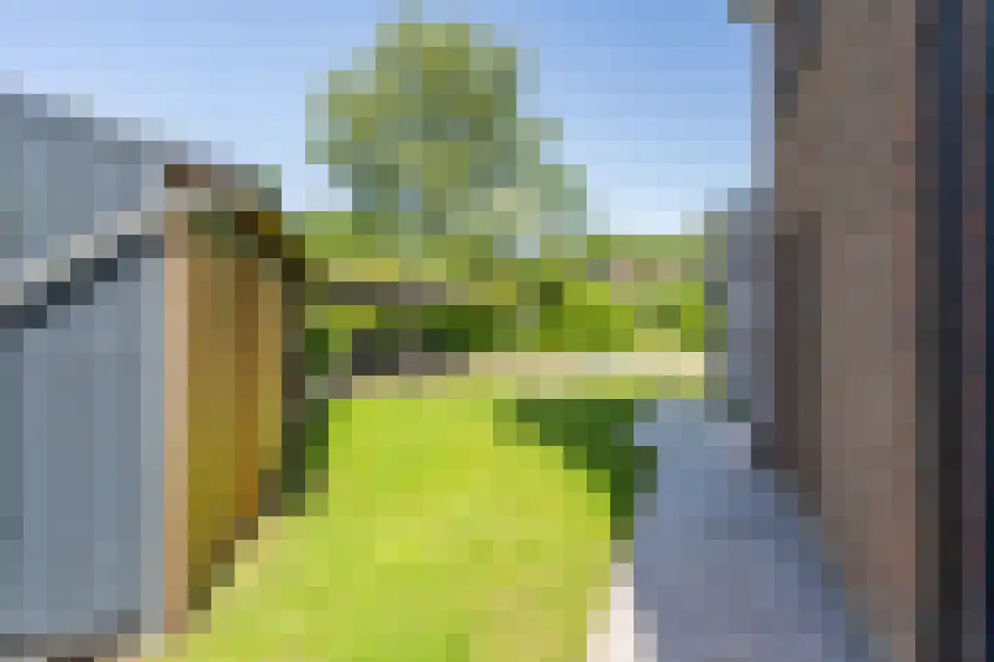Reeakker 8 Rolde thumbnail 51