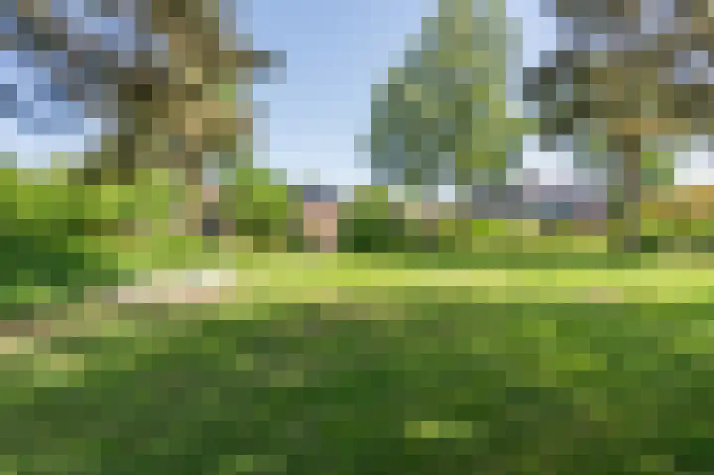 Reeakker 8 Rolde thumbnail 52