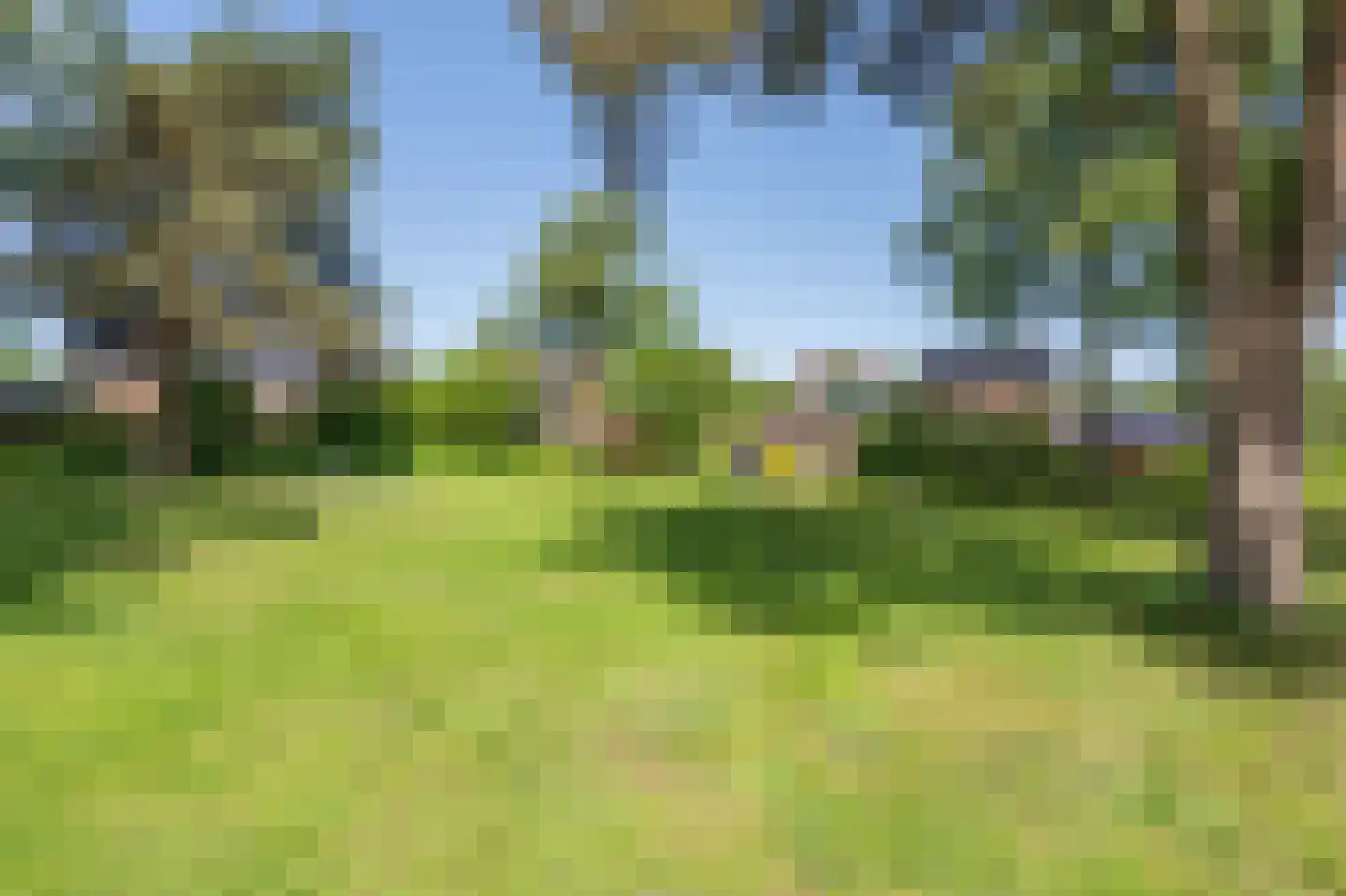 Reeakker 8 Rolde thumbnail 53