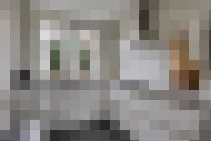 Reebaan 22 Scherpenzeel thumbnail 10