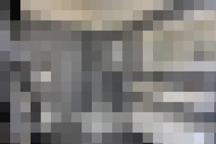 Reebaan 22 Scherpenzeel thumbnail 17