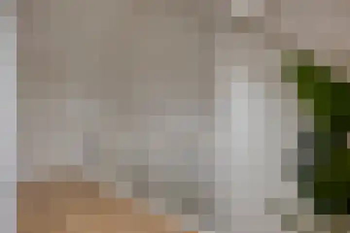 Reebaan 22 Scherpenzeel thumbnail 19