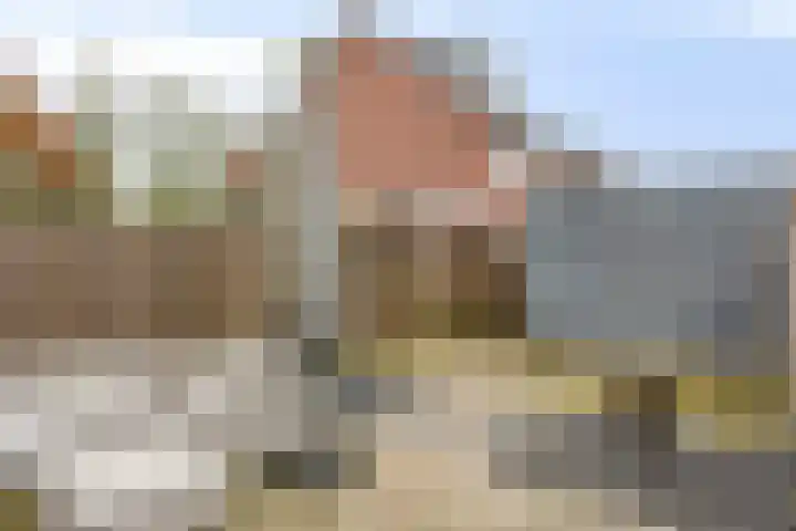 Reebaan 22 Scherpenzeel thumbnail 24
