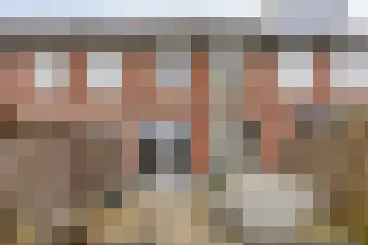 Reebaan 22 Scherpenzeel thumbnail 25