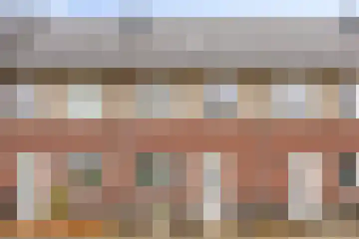 Reebaan 22 Scherpenzeel thumbnail 26