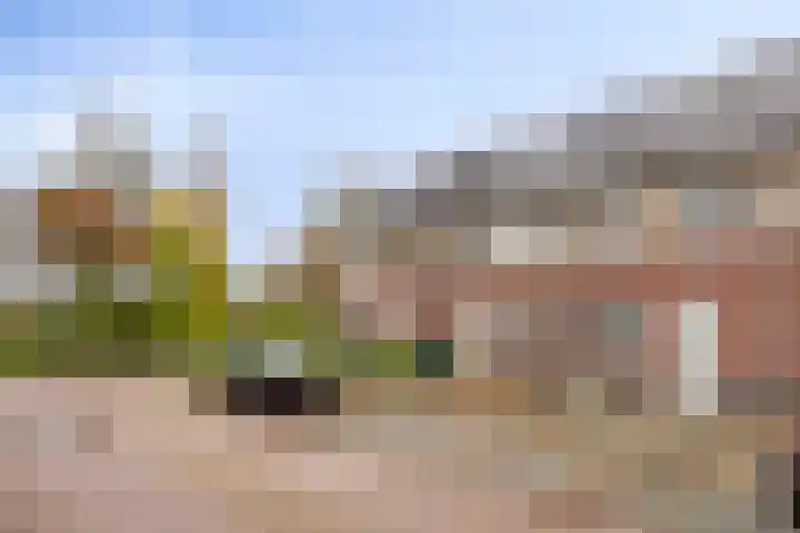 Reebaan 22 Scherpenzeel thumbnail 27