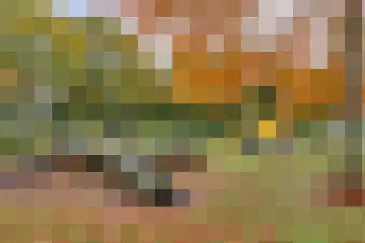 Reebaan 22 Scherpenzeel thumbnail 28