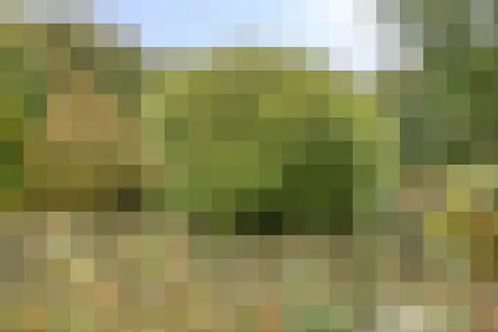 Reebaan 22 Scherpenzeel thumbnail 29