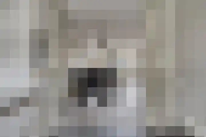 Reebaan 22 Scherpenzeel thumbnail 4