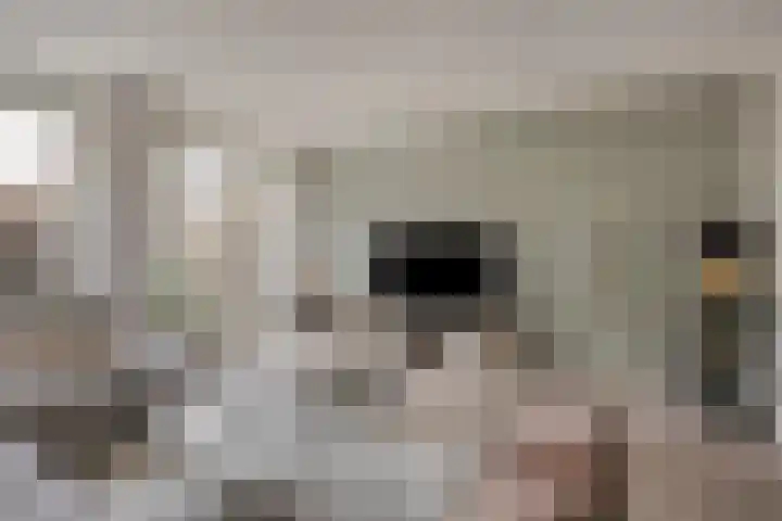 Reebaan 22 Scherpenzeel thumbnail 6