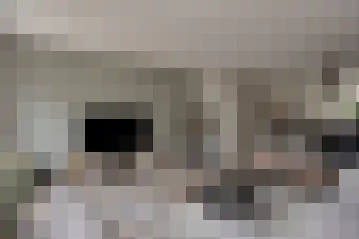 Reebaan 22 Scherpenzeel thumbnail 7