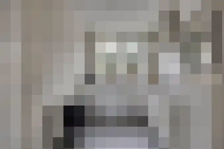 Reebaan 22 Scherpenzeel thumbnail 9