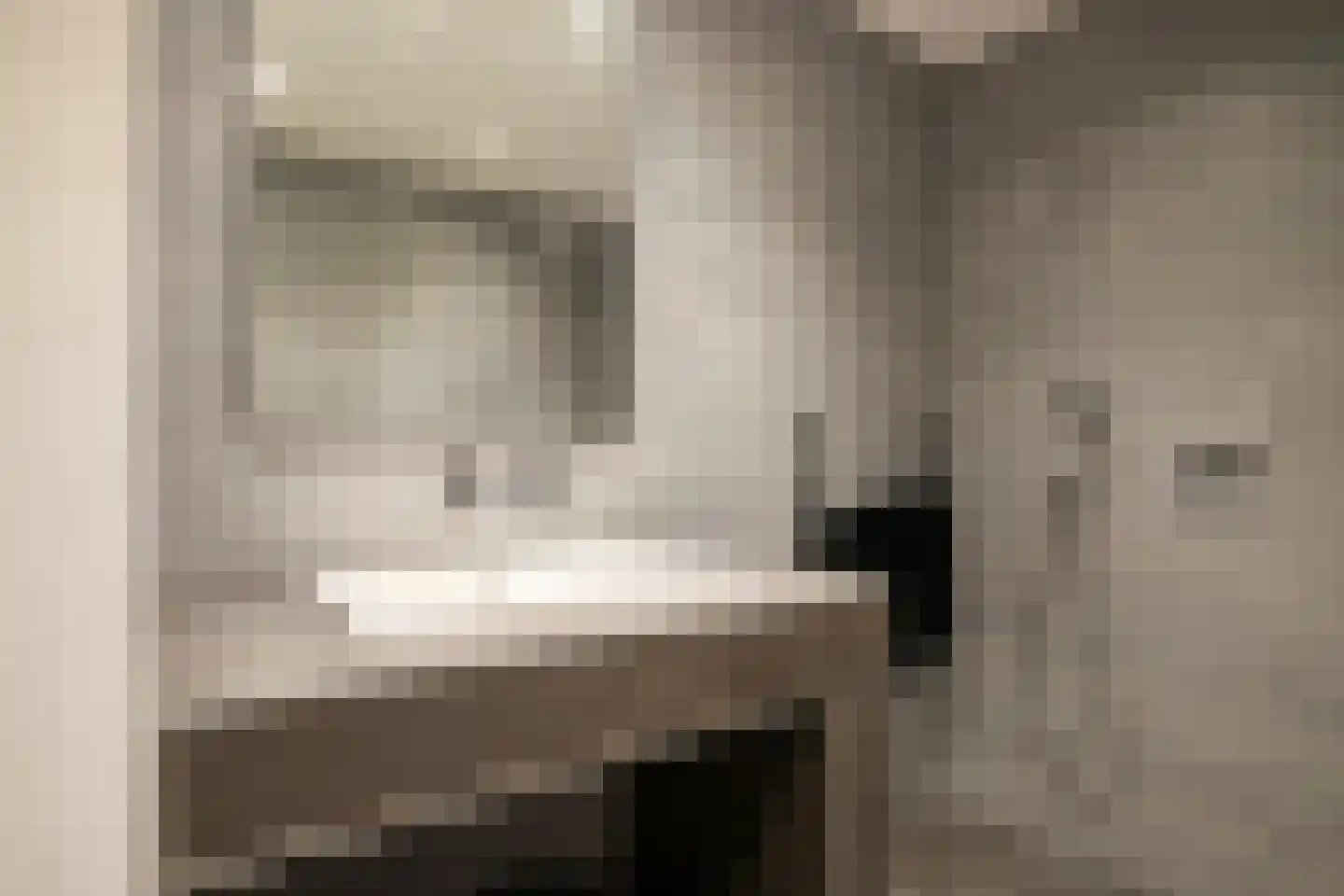Reebaan 6 Scherpenzeel thumbnail 17