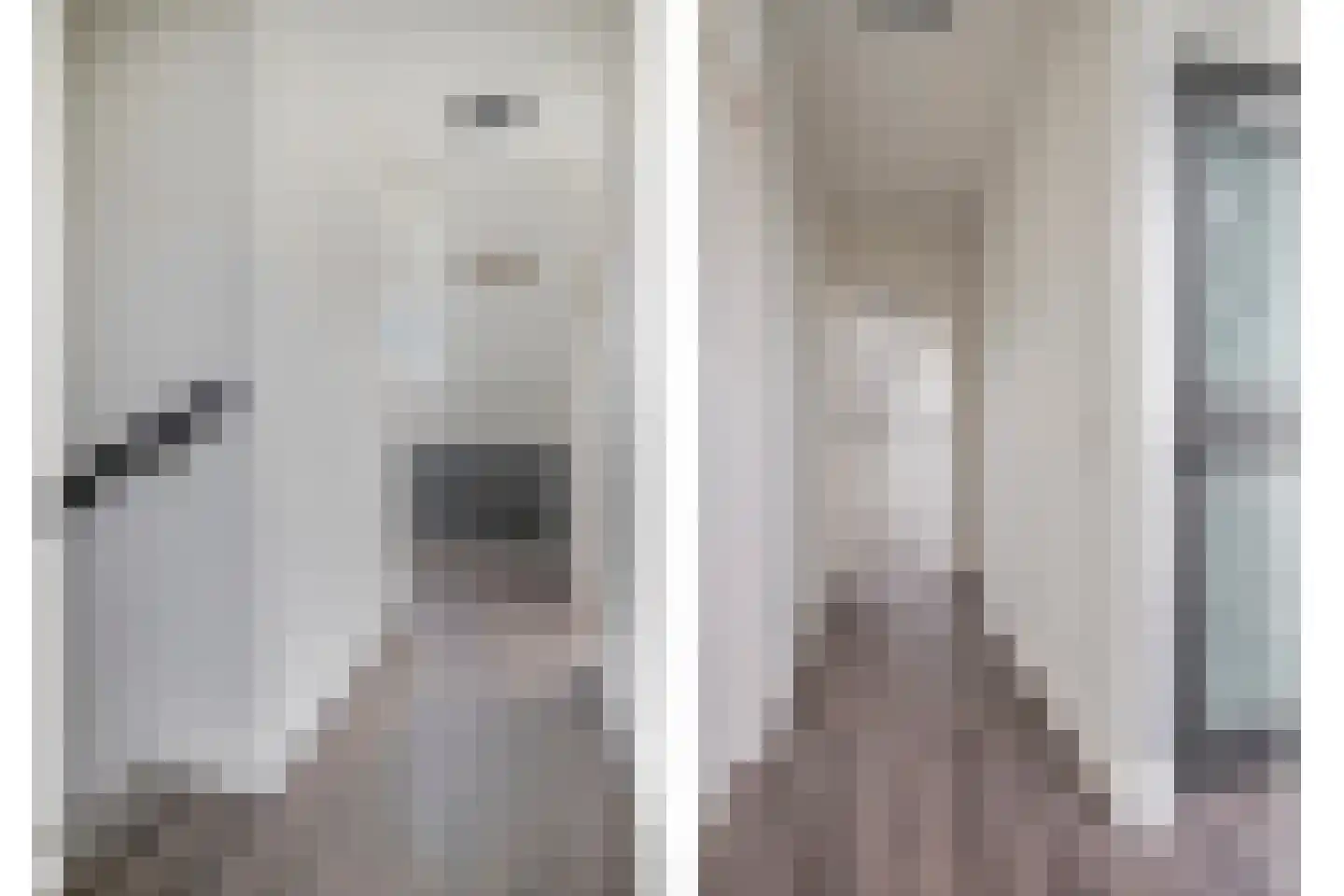 Reebaan 6 Scherpenzeel thumbnail 21