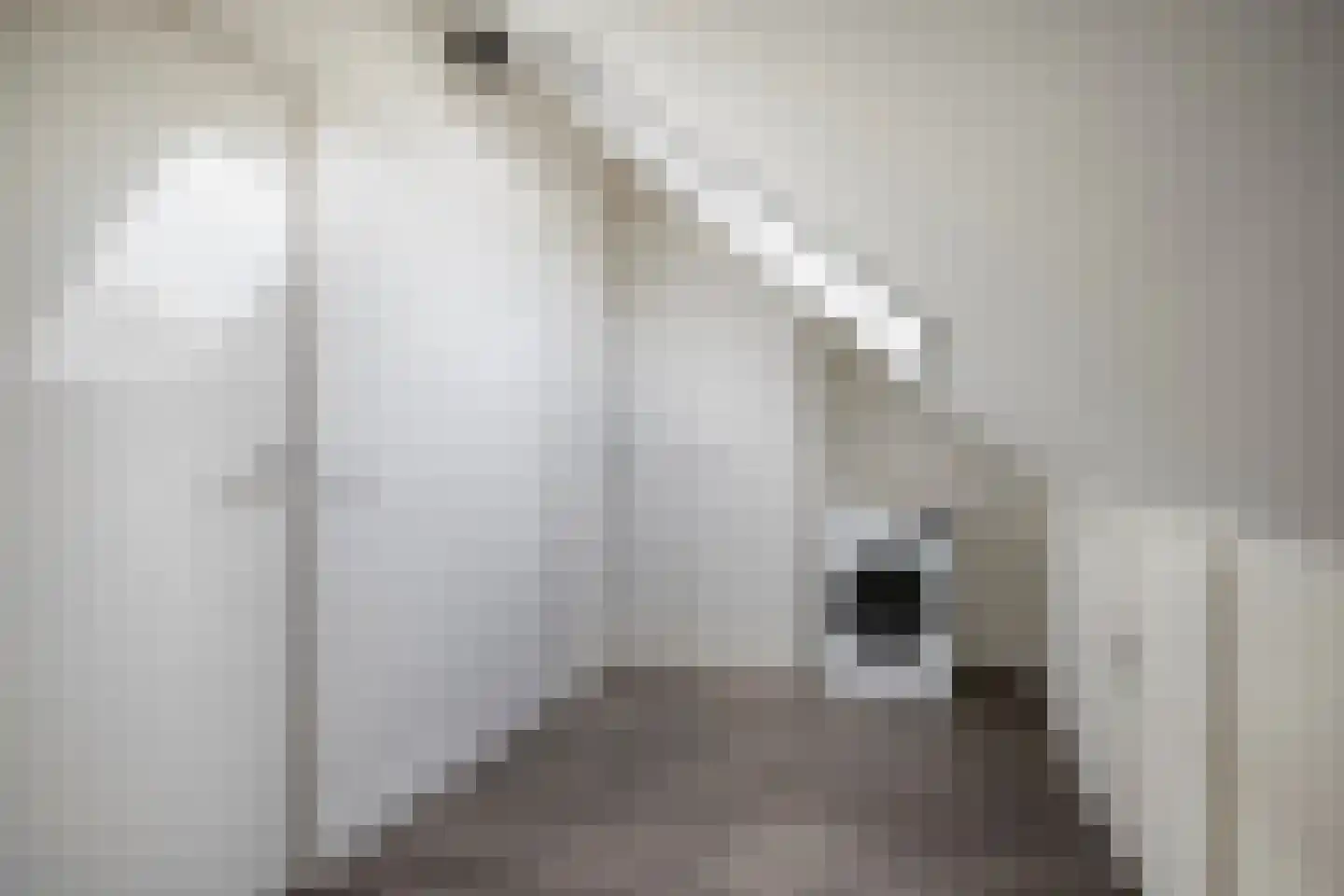 Reebaan 6 Scherpenzeel thumbnail 22