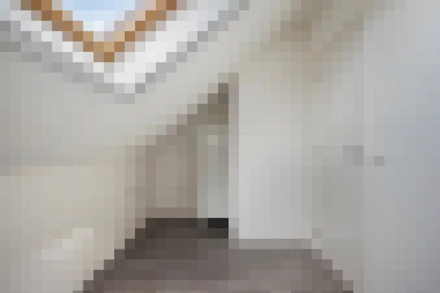 Reebaan 6 Scherpenzeel thumbnail 23