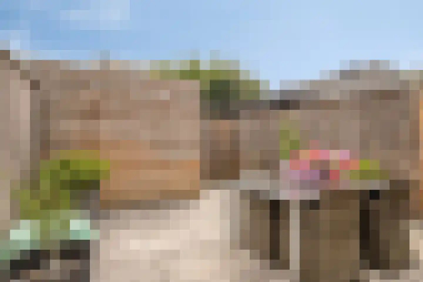 Reebaan 6 Scherpenzeel thumbnail 26