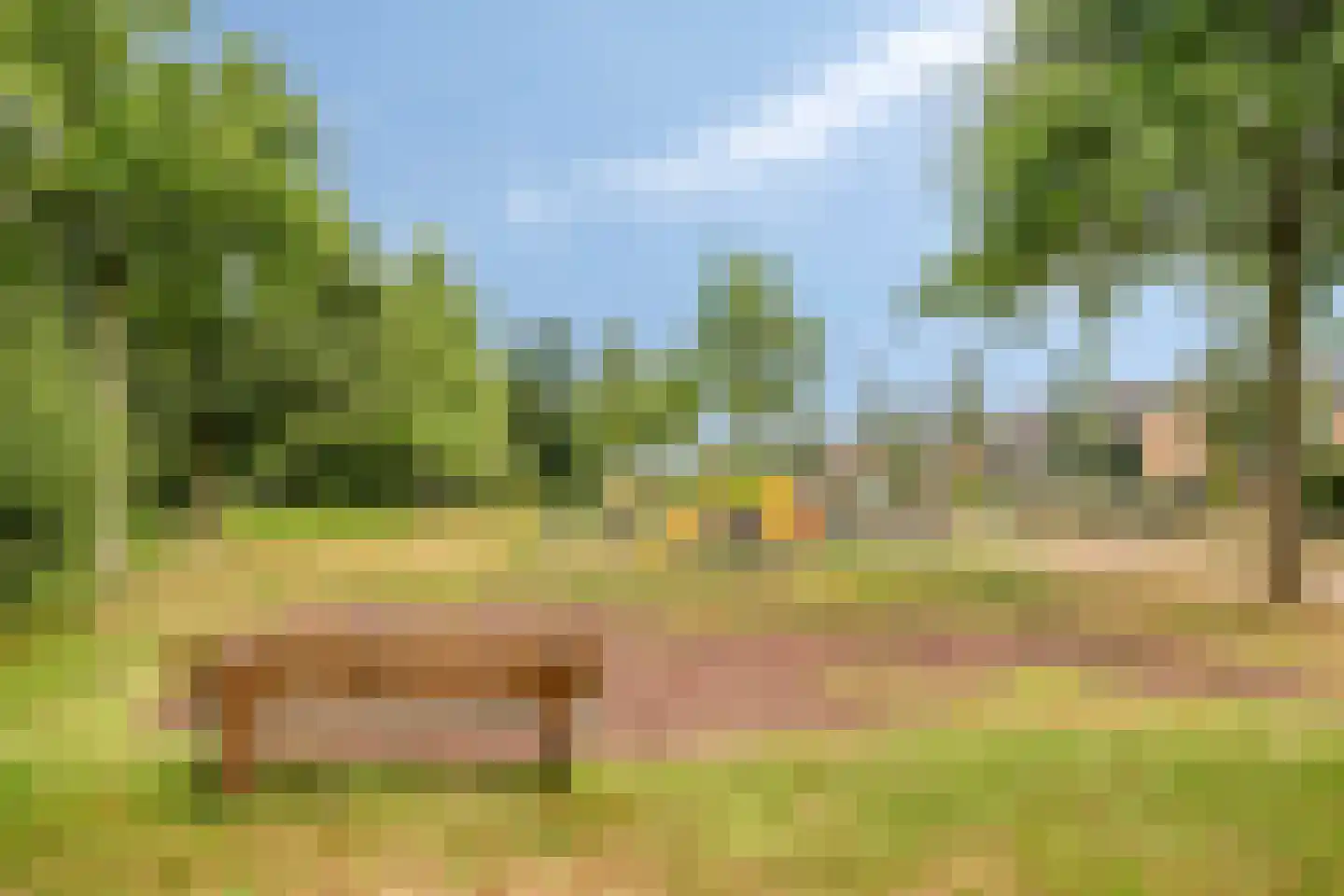 Reebaan 6 Scherpenzeel thumbnail 28