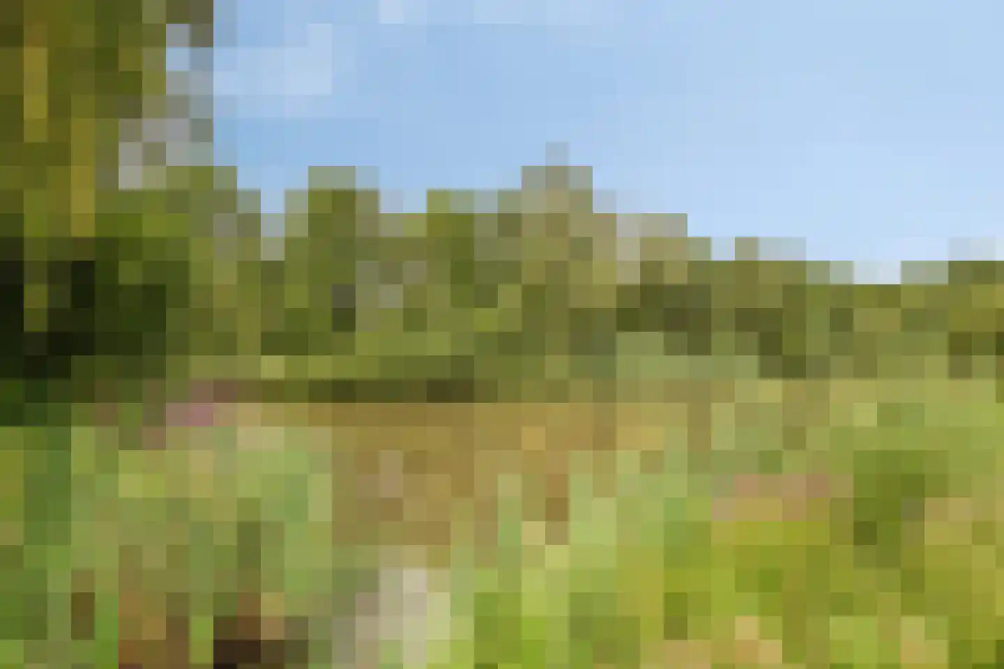 Reebaan 6 Scherpenzeel thumbnail 29