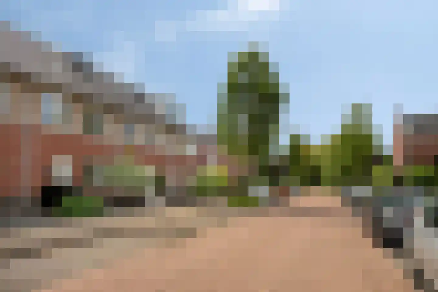 Reebaan 6 Scherpenzeel thumbnail 32