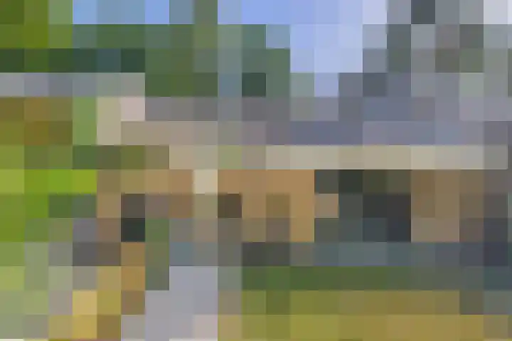 Reeboklaan 8 Wageningen