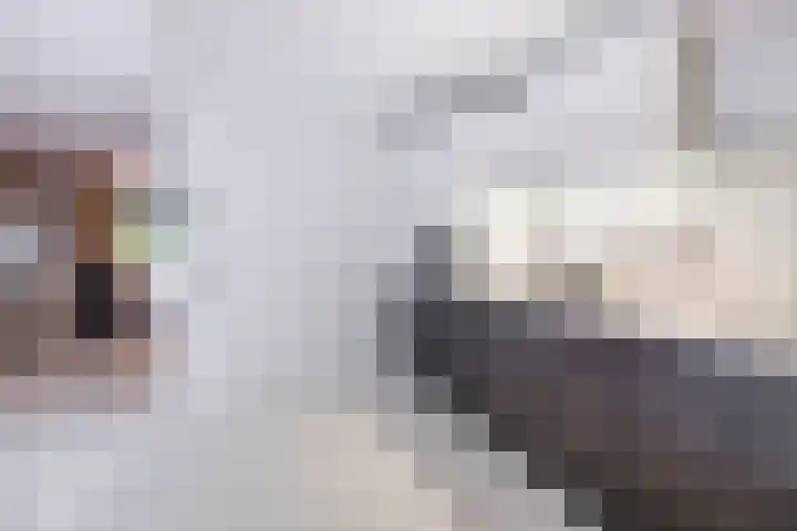 Reeboklaan 8 Wageningen thumbnail 16