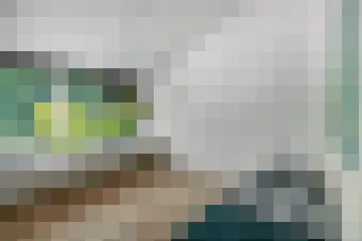 Reeboklaan 8 Wageningen thumbnail 20